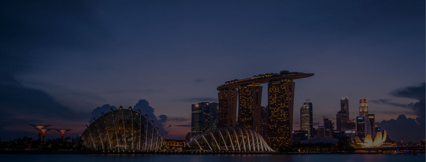 A captivating view of Singapore's skyline