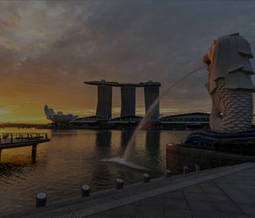 The Stunning Skyline of Singapore Alongside Serene Lake