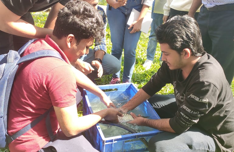 One of the ways in which Tata Power is giving back to the community is by breeding a near-extinct fish – the Mahseer – to ensure its survival